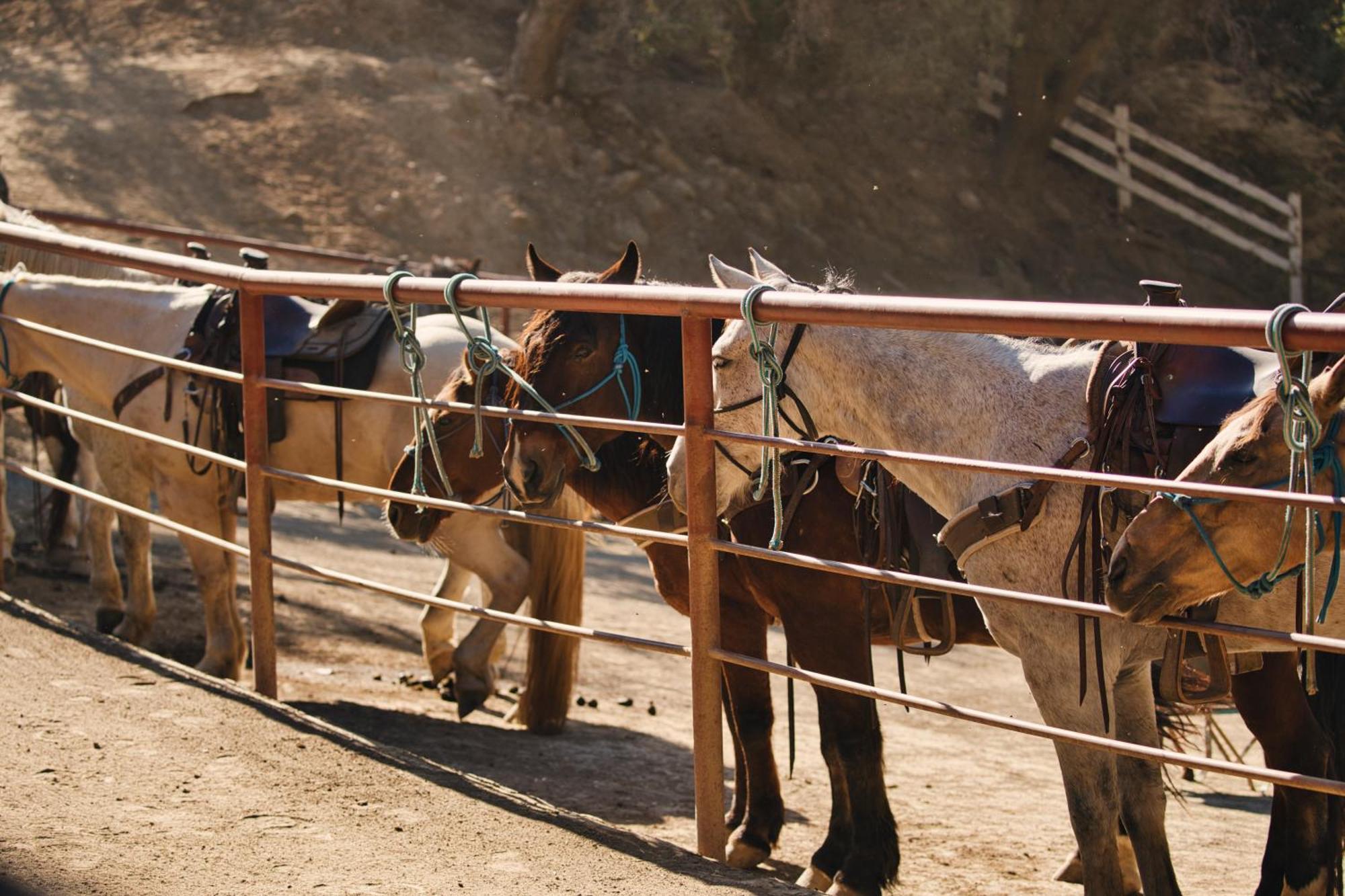 Circle Bar B Guest Ranch Capitan Exterior foto