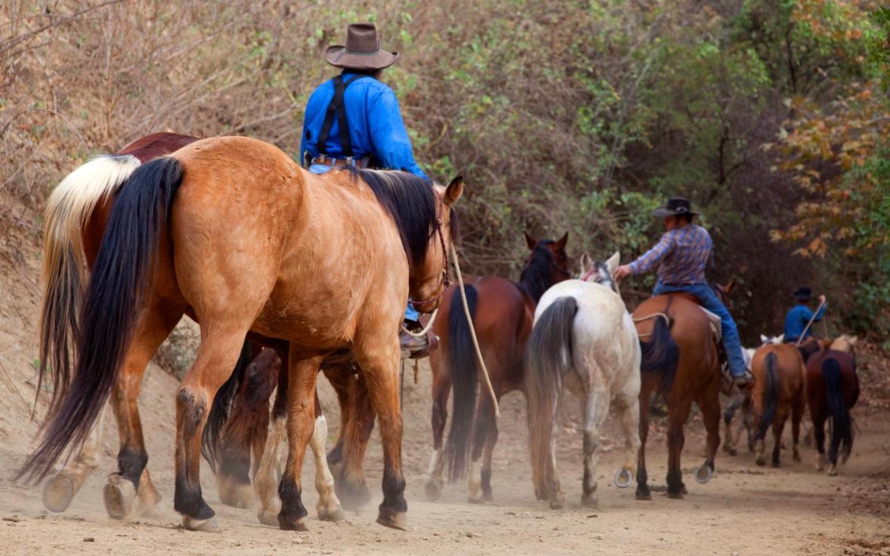 Circle Bar B Guest Ranch Capitan Exterior foto